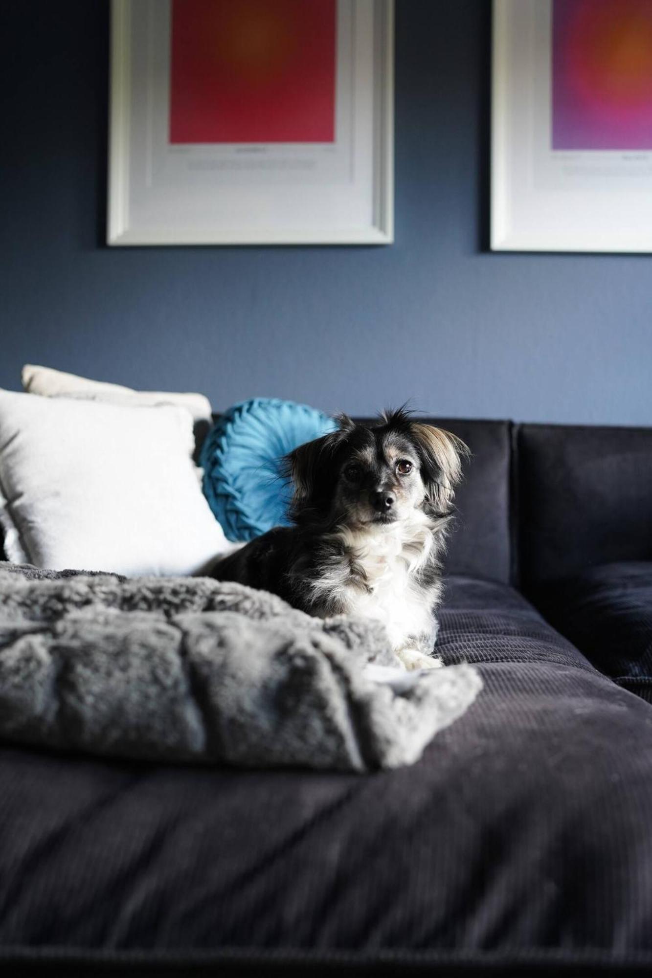 Stylische Wohnung In Meeresnaehe Wilhelmshaven Exterior foto